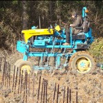 mersault71 Not a toy tractor, but it looks like one. Normal height, but very narrow to fit between the vines.